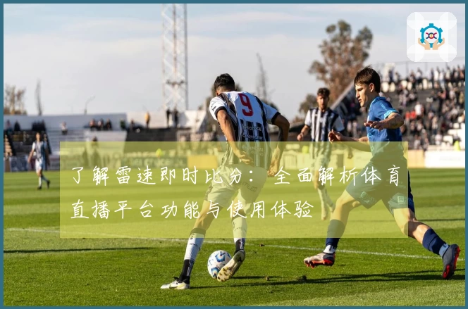了解雷速即时比分：全面解析体育直播平台功能与使用体验